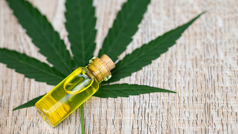 Everything You Need to Know Before Buying CBD Product