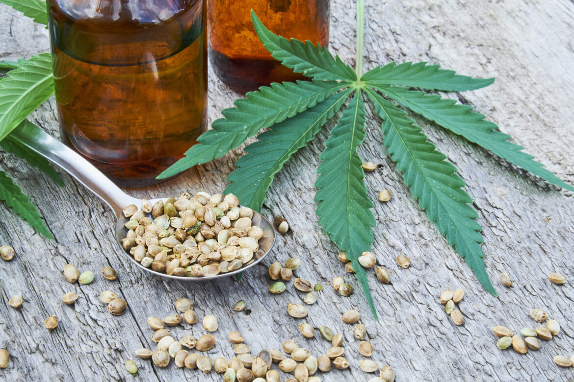 Reasons Why You Should Use Hemp Tree Extracts For Pets