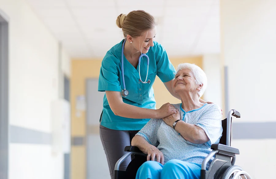 Services an Adult-Gerontology Nurse Practitioner Offers