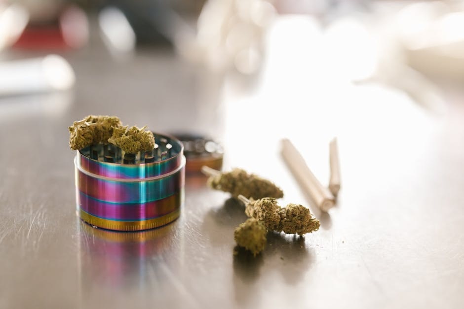 Maximize Your First Visit to a Manassas Dispensary: A Fresh Guide