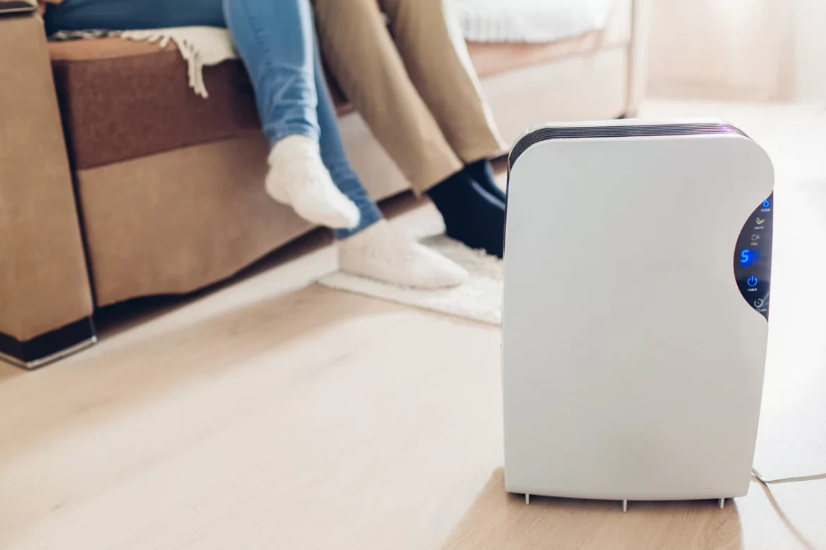 Humidifier vs. Air Purifier: Which One Do You Really Need for Your Home?